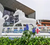 国际比赛日突围战来临，上海久事围绕社区盾调整名单，话题不断，身体对抗强度拉满的简单介绍